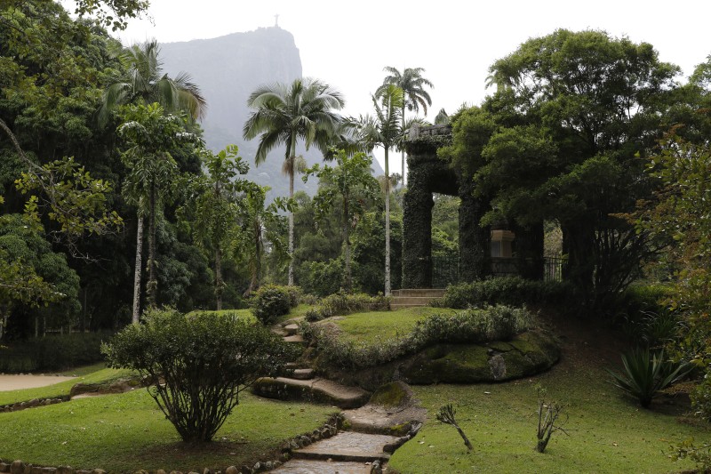 Acervo fotográfico do Jardim Botânico do Rio será revitalizado