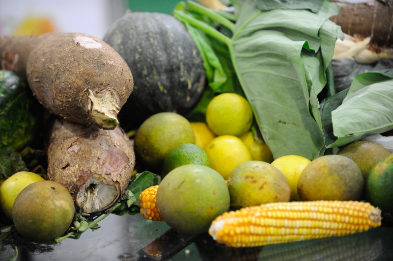 Guia do Ministério da Saúde traz dicas para alimentação de crianças