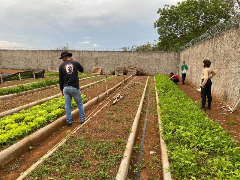 Case de Lucas do Rio Verde realiza primeira doação de hortaliças produzidas na unidade