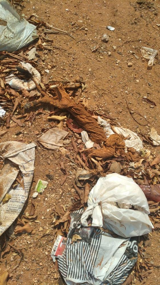 Poconé abandonada pelo poder público e ruas sendo feitas de lixão