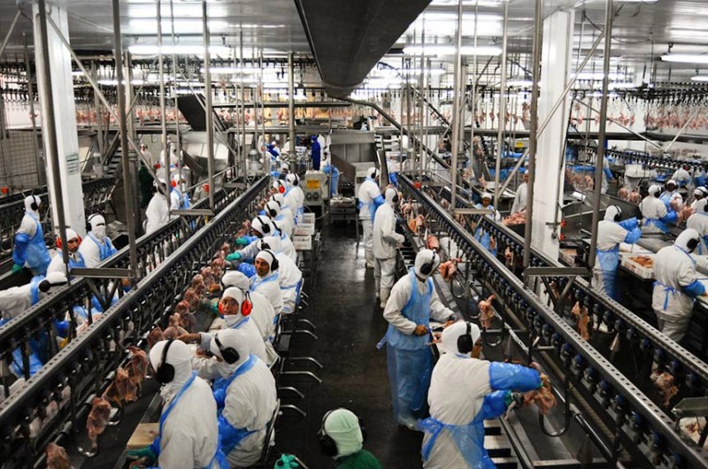 Projeto estabelece novas faixas de trabalho e descanso em câmaras frigoríficas