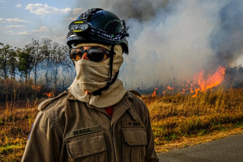 Comitê é instituído para combater incêndios florestais em Mato Grosso
