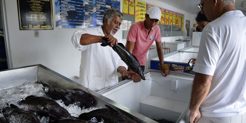 Doença “urina preta” pode estar relacionada a consumo de frutos do mar