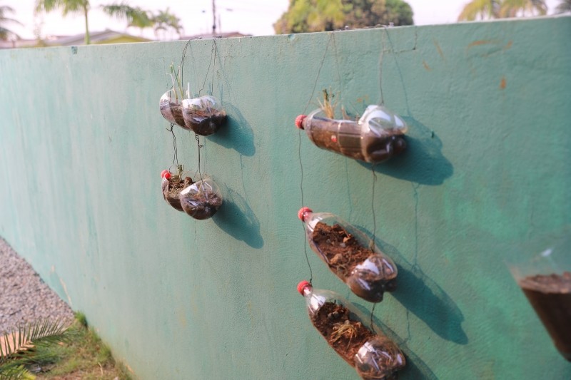 PSF Rio Verde cria horta vertical cultivada por grupo de pacientes