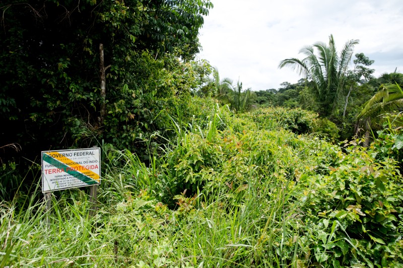 BNDES avalia concessão ambiental com pagamento para conservação