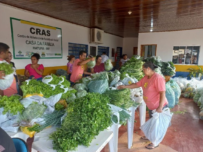 Programa consolida entrega de alimentos a entidades e pessoas em situação de insegurança alimentar e nutricional
