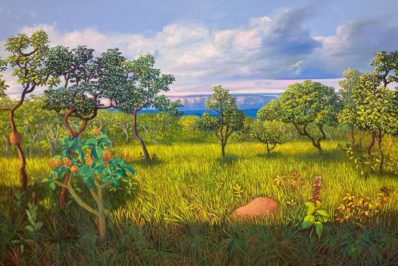 Exposição com pinturas do artista Miguel Penha pode ser conferida no Museu de História Natural