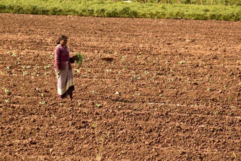 Secretaria da Mulher debate atuação feminina no meio rural