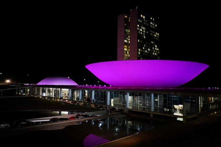 Seminário discute enfrentamento do câncer de mama no Brasil