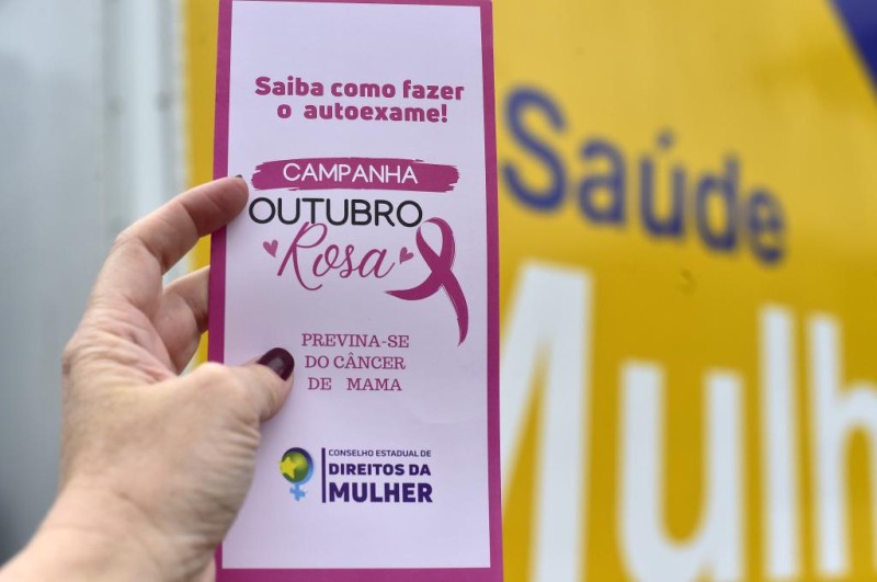 Conselho Estadual de Direitos da Mulher promove nesta quinta-feira (13.10) ações de cidadania no bairro CPA 3