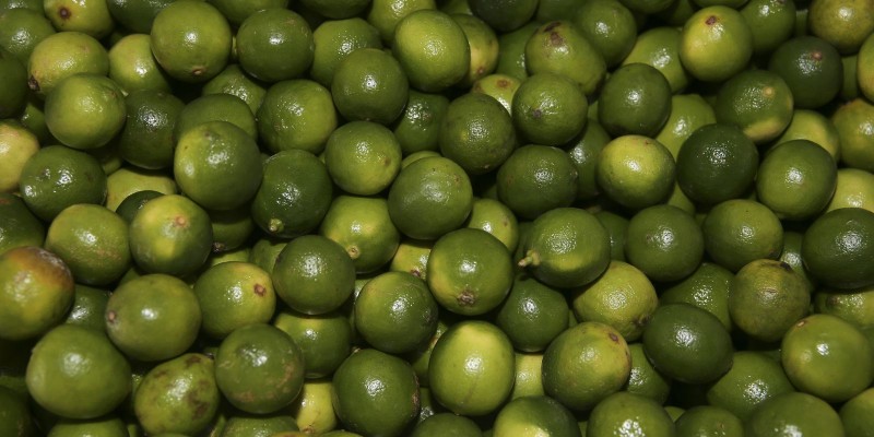 Governo vai investir R$ 34 milhões em fruticultura no DF e Entorno