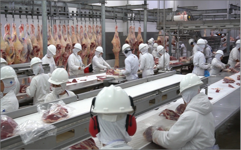 Seminário do Indea busca conscientização sobre inspeção de alimentos de origem animal em MT