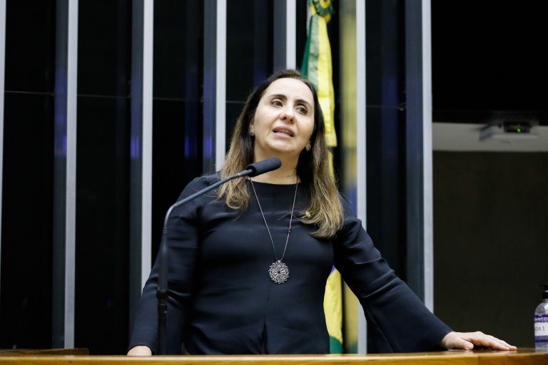 Câmara aprova MP que libera compra de vacinas contra Covid-19 pela iniciativa privada; acompanhe