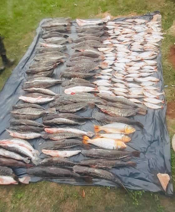 Batalhão Ambiental apreende 315 quilos de pescado irregular em Cuiabá
