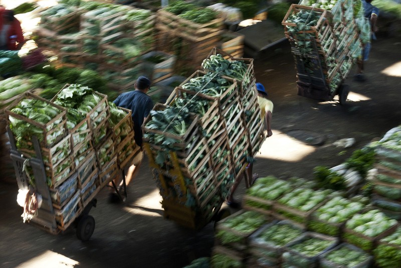 Bloqueio em estradas reduz em 17% movimento na Ceagesp