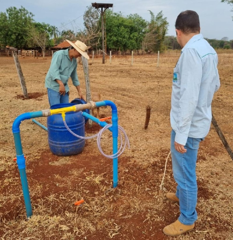 Produtor investe em sistema de irrigação e aumenta produção de leite