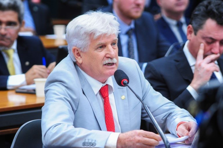 Comissão aprova projeto que classifica açaí como fruta nacional