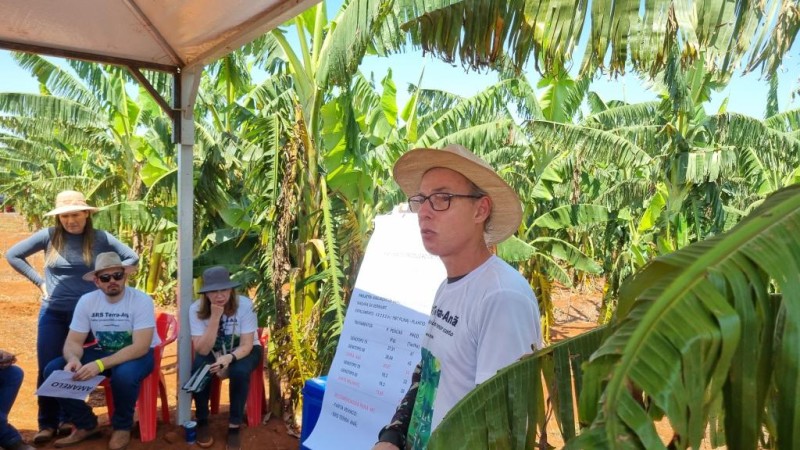 Dia de Campo marca lançamento nacional da nova cultivar de banana da terra