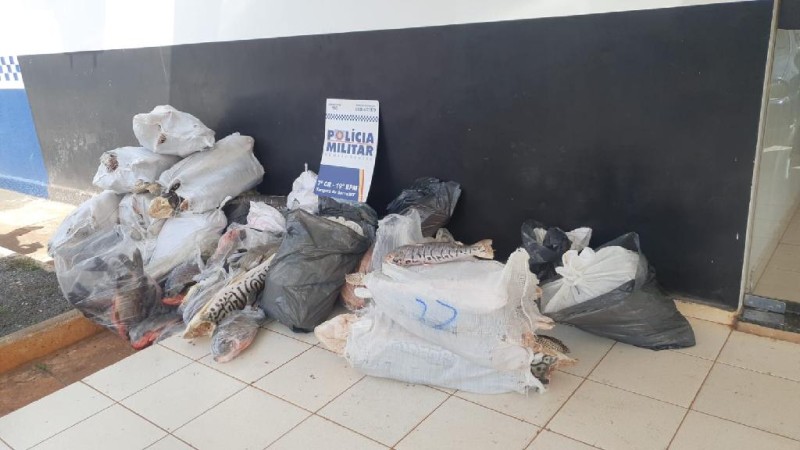 Polícia Militar apreende mais de 700 quilos de pescado irregular no interior de MT
