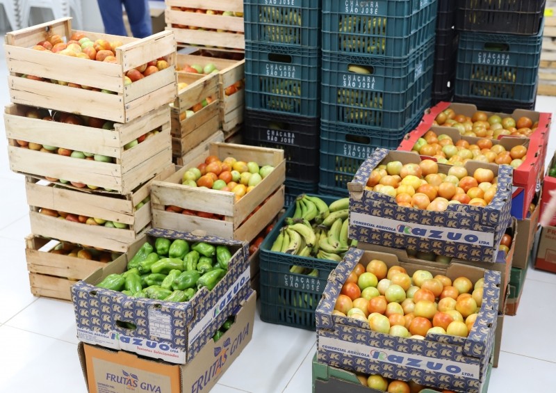 Assistência Social de Lucas do Rio Verde e Programa Alimenta Brasil facilitam acesso à alimentação saudável