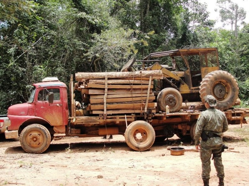 Fiscalização ambiental apreende 900 m³ de madeira irregular