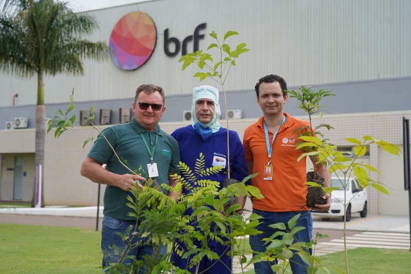 Meio Ambiente entrega mais de 100 mudas de árvores para empresa