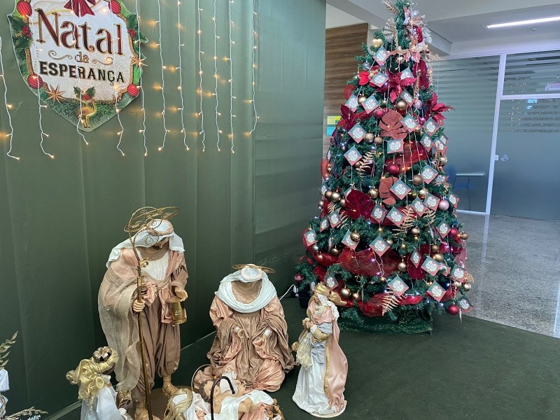 Árvore da Esperança é lançada pela Assistência Social e conta com a sua ajuda