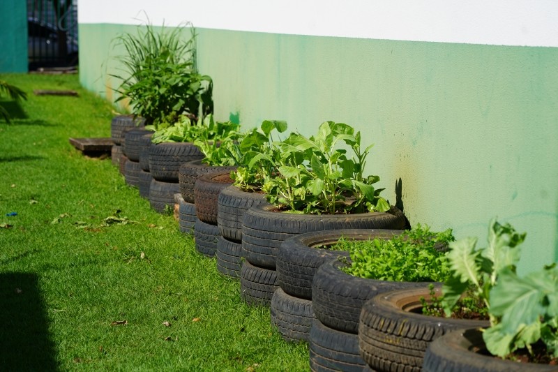PSF Rio Verde desenvolve horta com pacientes para incentivar alimentação saudável
