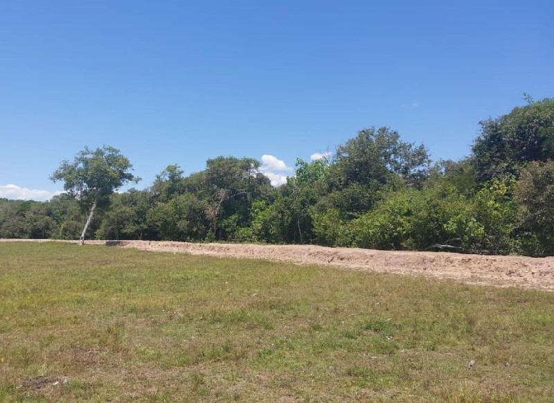 Sema-MT notifica proprietário por construção de dique clandestino no Pantanal