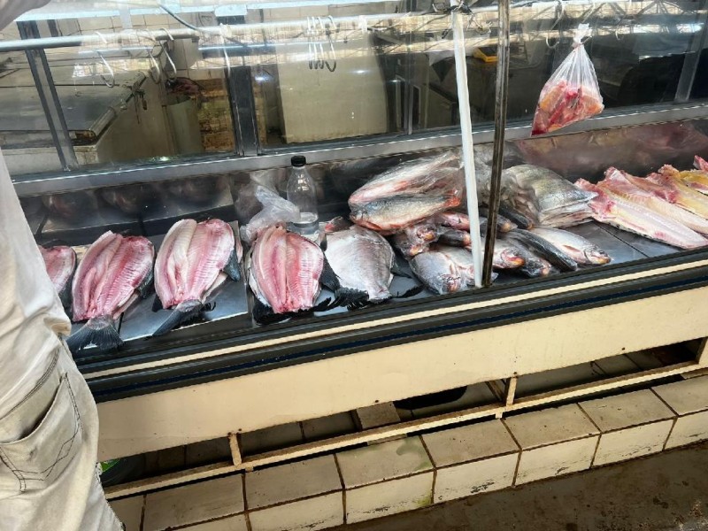 Sema-MT fiscaliza estoques de peixes de estabelecimentos comerciais