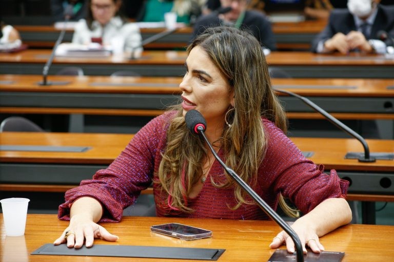 Comissão externa aprova relatório final sobre políticas para a primeira infância