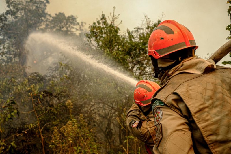 Incêndio no Parque Estadual Encontro das Águas está parcialmente controlado