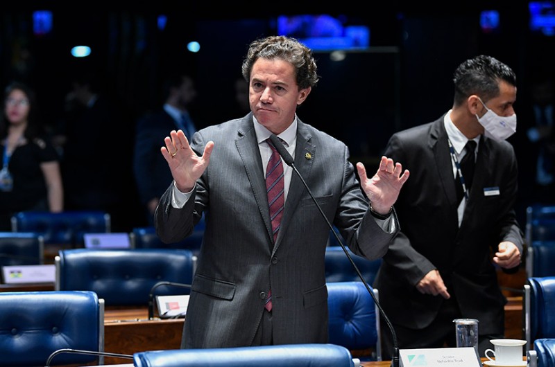 Senado aprova projeto que proíbe uso de animais em pesquisas para desenvolver cosméticos