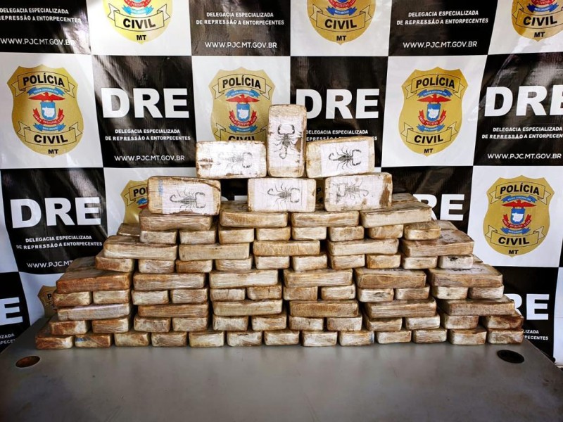 Delegacia de Entorpecentes incinerou mais de 7 toneladas de drogas este ano
