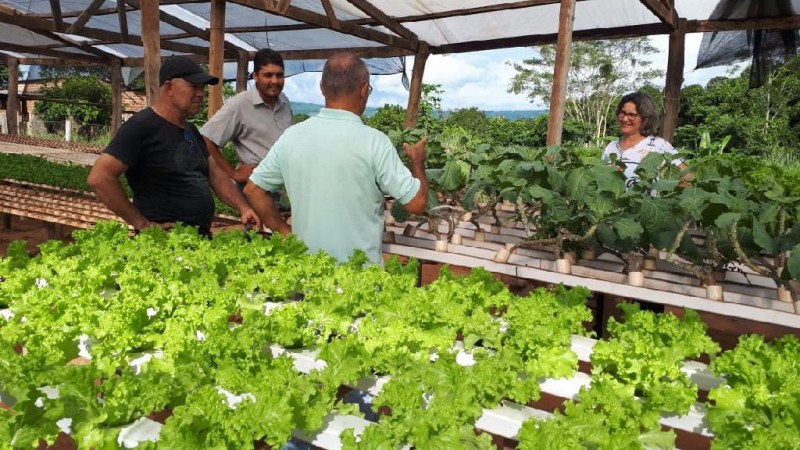 Empaer fomenta produção de hortaliças em hidroponia na região oeste do Estado
