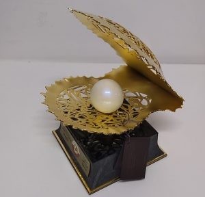 Pérola do Catar e bola autografada por Neymar foram levadas durante invasão da Câmara