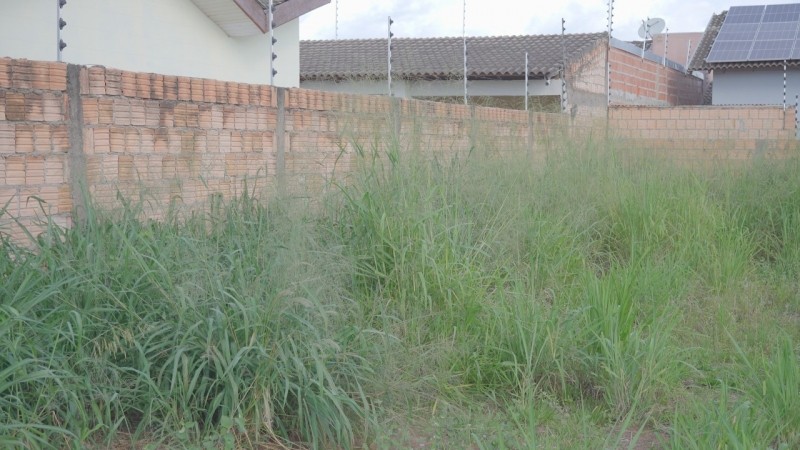 Moradores que não limparem lotes serão multados em R$ 827,60; prazo é até 31 de janeiro