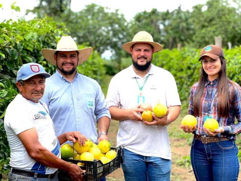 Agricultor familiar produz maracujá irrigado sob orientação dos técnicos da Empaer