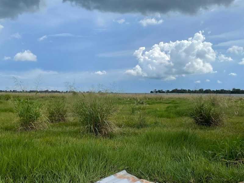 Prefeitura divulga edital com infrações relativas à limpeza de terrenos do ano passado