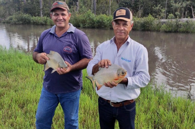 Construção de 800 tanques de peixes com assistência da Empaer gera renda a agricultores