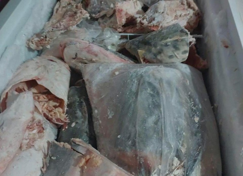 Sema e Polícia Ambiental apreendem 160 kg de pescado em Ponte Branca