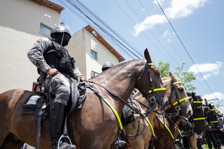 Propostas proíbem uso de cavalos em operações das forças de segurança