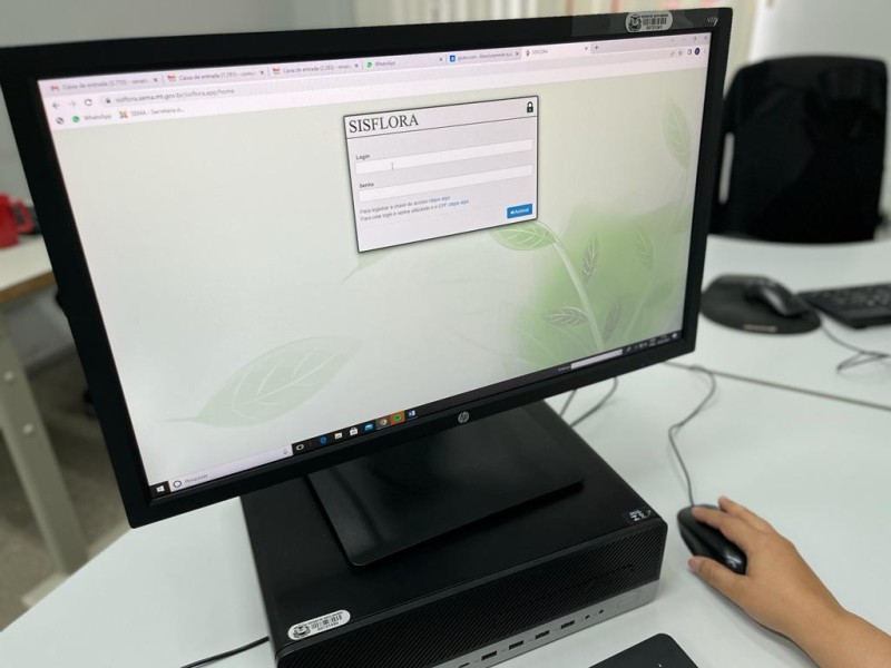 Novo sistema de controle de produtos florestais de MT começa a funcionar; cadastro deve ser feito até 12 de março