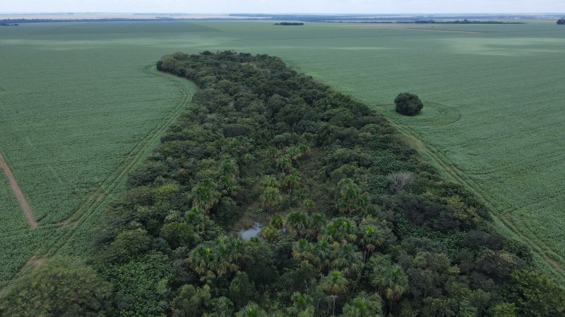 Meio Ambiente se reúne com empresa para andamento do programa Lucas Legal
