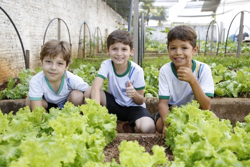 Prefeitura trabalha em projeto de educação ambiental para alunos da rede municipal