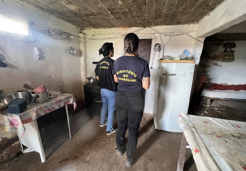 Em 2023, 523 vítimas de trabalho análogo à escravidão foram resgatadas