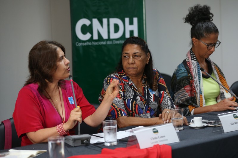 Mãe de Marielle Franco é contrária à federalização da investigação