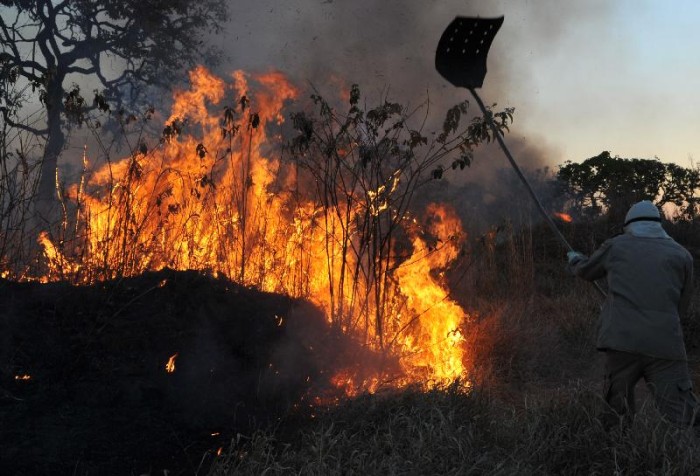 Amazônia concentra 90% da área com focos de incêndio no 1º bimestre