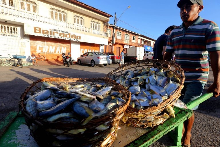Comissão debate a doença da urina preta e a queda de consumo do pescado