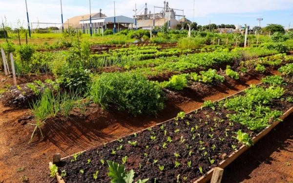 Jane pede construção de poço artesiano em horta comunitária, no Nova Aliança